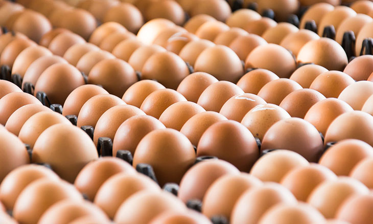 Ovos